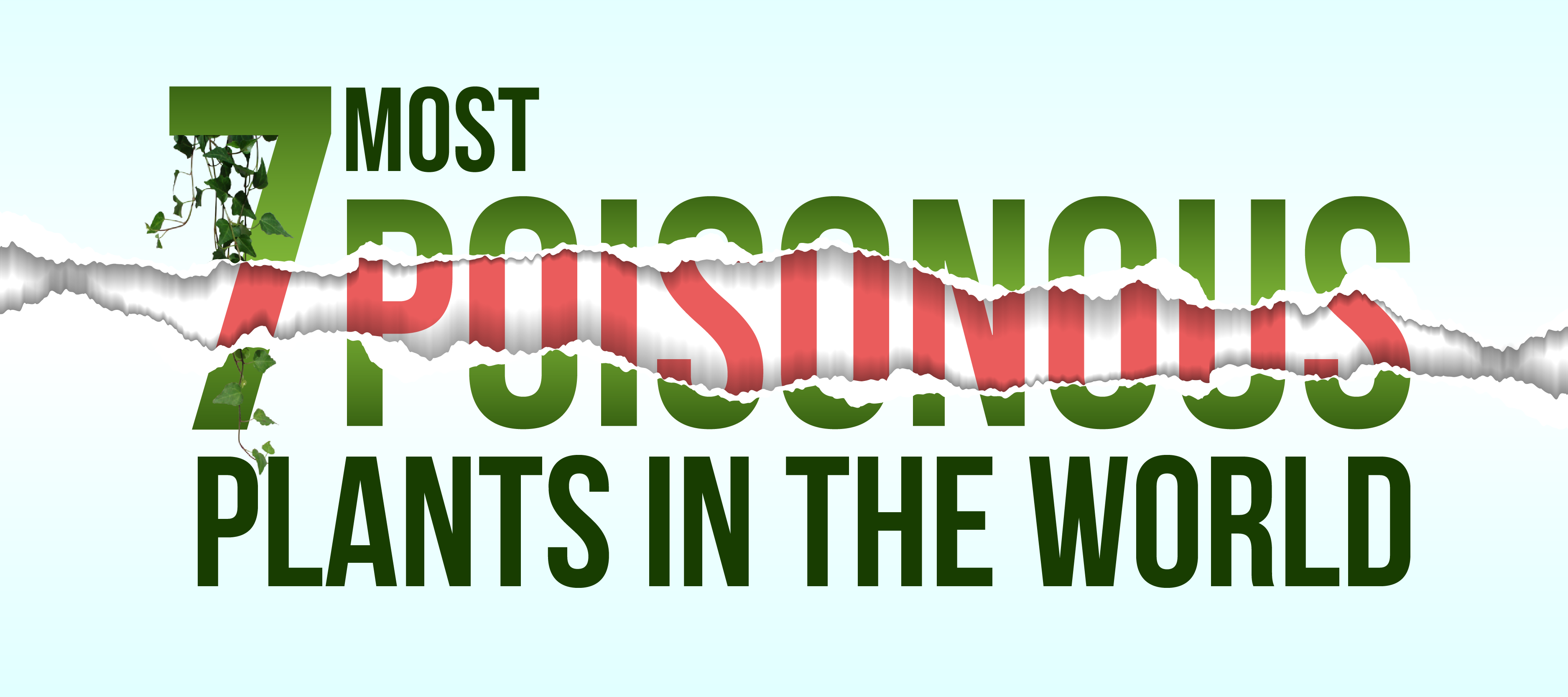 7 Most Poisonous Plants in the World WeNaturalists